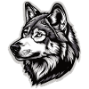 Loup et demi-husky
