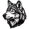 Husky oder Wolf Hund