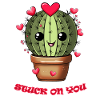 Kaktus Love Stuck on you