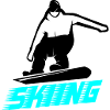 Ski