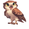 Falcon Falcon