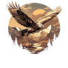 Falcon Falcon