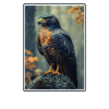 Falcon Falcon