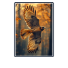 Falcon Falcon