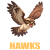 Falcon Falcon