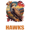 Falcon Falcon
