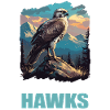 Falcon Falcon