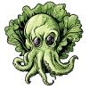 Octopus cabbage