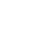 Vizsla