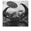 Skorpion