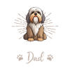 Lhassa Apso Groovy Lhassa Papa