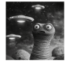 Wurm