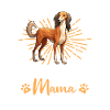 Lévrier persan Groovy Saluki mama
