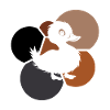 Waddle ducks