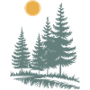 Sunlit Pine Silhouette