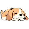 Dog puppy sleeping