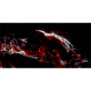 veil nebula