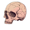 Pink Pink Skull