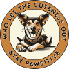 Stay Pawsitive