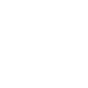 Beer Bottle Beer Icon