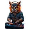 DJ Owl
