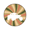 Autocross Auto