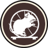 Hamster Animal Mouse