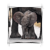 Big Small Elephant