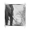 Elephant Monochrome