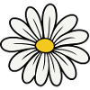 Gänseblümchen