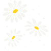 Daisy Dots