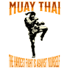 Muay Thai Boxe Muay Thai