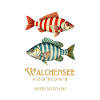 Walchensee Germany nautical striped fish