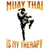 Muay Thai Boxing Muay Thai