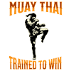 Muay Thai Boxe Muay Thai