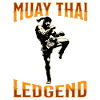 Muay Thai Boxing Muay Thai