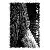 Kruger Series: Zoom In
