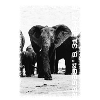 Kruger Series: Family Gathering