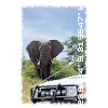 Kruger Series: Get Closer