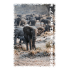 Kruger Series: The Gathering