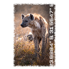Kruger Series: Scavenger Hunt