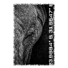 Kruger Series: Eye Contact