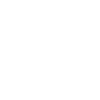 The Main Attraction Circus