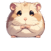 Hamster
