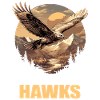 Falcon Falcon