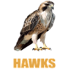 Falcon Falcon