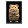 Hamster