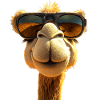 Kamel Dromedar Trampeltier Camel Geschenk Kamele
