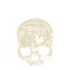 Memento Mori Skull