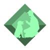 Hundetraining Hundeschule Hundeerzieher